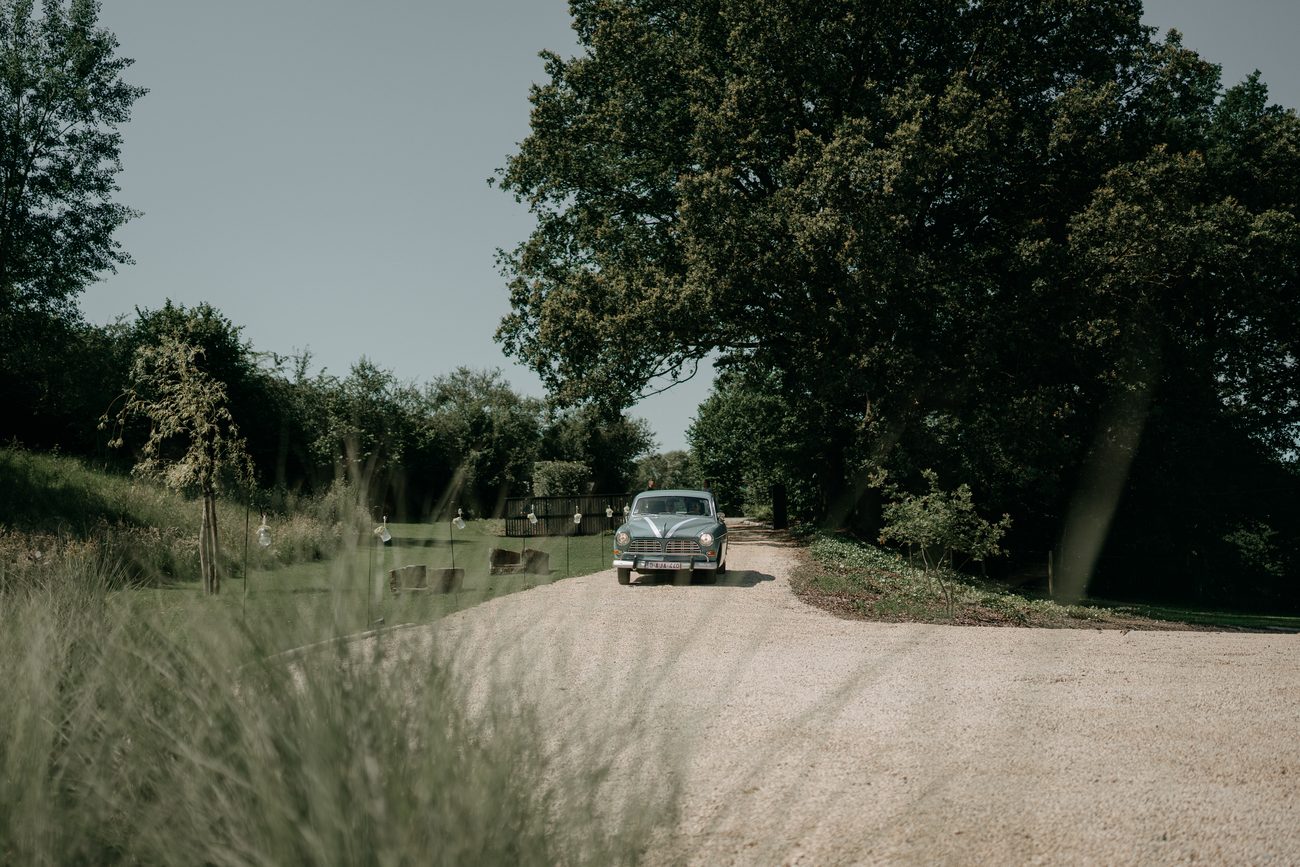 Voiture ancienne remontant l’allée de gravier bordée d’arbres, à l’entrée du domaine