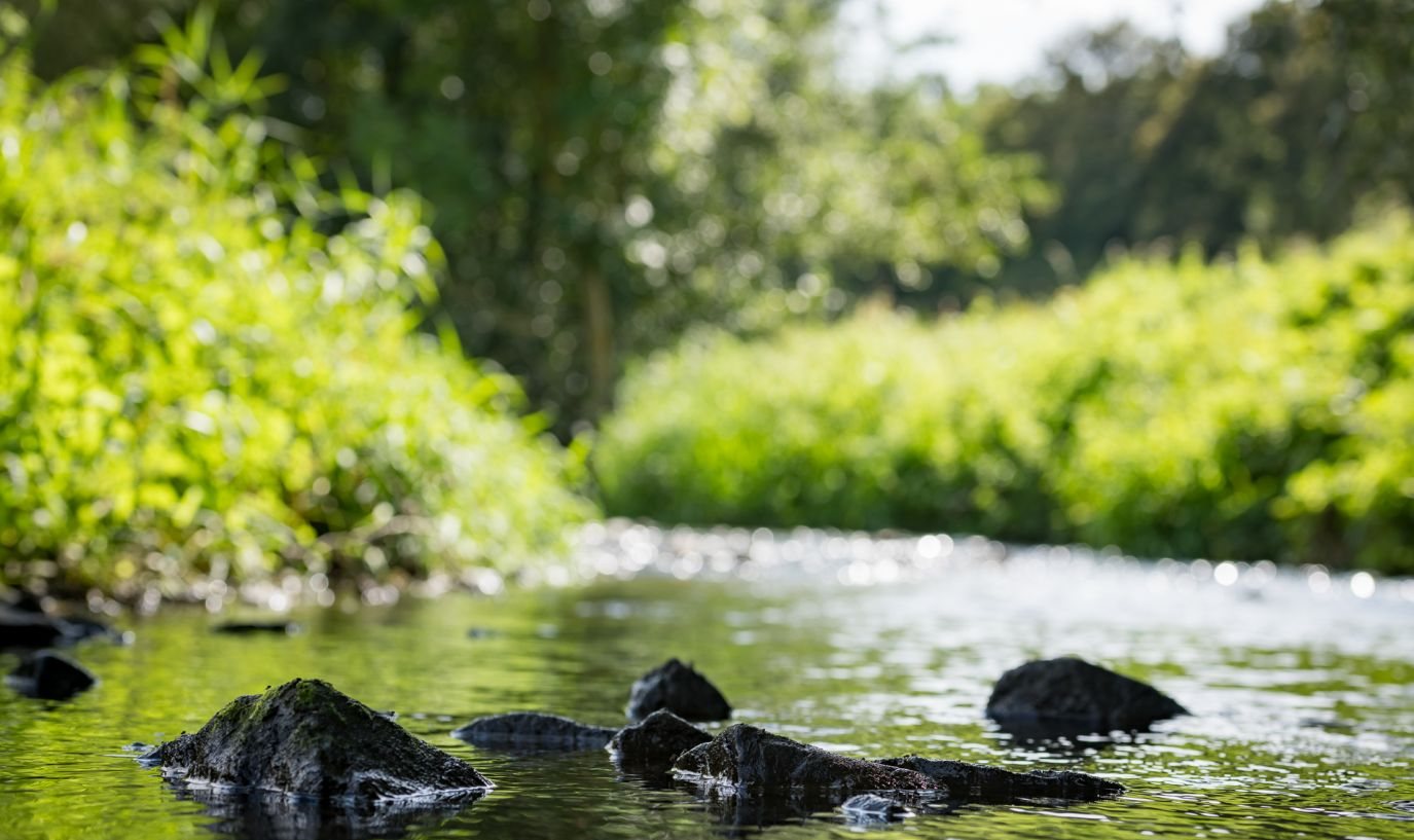 La rivière qui borde le domaine, rochers affleurants et berges de verdure